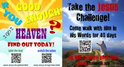 Sample 6x11 Postcard front dual message
